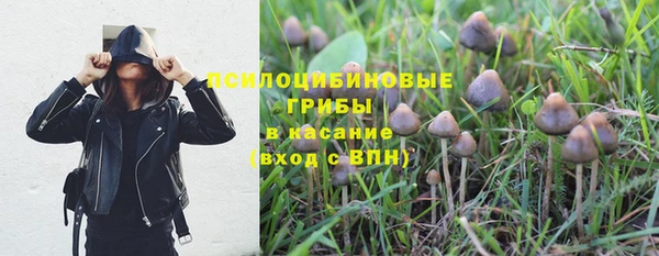 ешки Горно-Алтайск