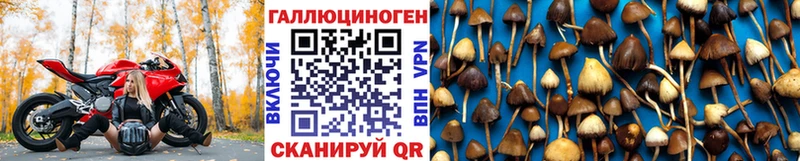 Галлюциногенные грибы MAGIC MUSHROOMS  Купить где  Клин 